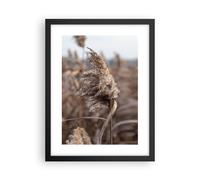 Poster 30x40cm Boho Spighe Di Grano Erba Stampe Immagini Quadri Moderni Murale