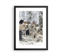 Poster 30x40cm Branco lupi inverno Stampe Immagini Quadri Moderni Murale