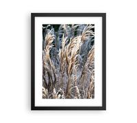 Poster 30x40cm Canna Spighe Di Grano Boho Stampe Immagini Quadri Moderni Murale