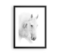 Poster 30x40cm Cavalli Natura Animali Stampe Immagini Quadri Moderni Murale