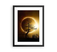 Poster 30x40cm Eclipse il sole l'albero Stampe Immagini Quadri Moderni Murale