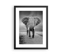 Poster 30x40cm Elefante natura selvaggia natura Stampe Immagini Quadri Murale