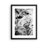 Poster 30x40cm Fiori Bianco E Nero Fotografia Stampe Immagini Quadri Murale