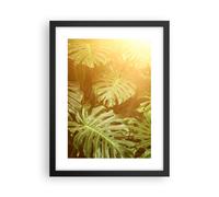 Poster 30x40cm Foglie Monstera Luce Stampe Immagini Quadri Moderni Murale