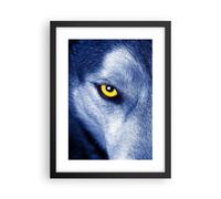 Poster 30x40cm Guarda il lupo gli occhi Stampe Immagini Quadri Moderni Murale