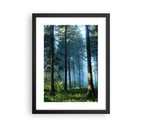 Poster 30x40cm La foresta l'alba il sole Stampe Immagini Quadri Moderni Murale