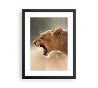 Poster 30x40cm Leone Leonessa Zanne Stampe Immagini Quadri Moderni Murale
