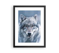 Poster 30x40cm Lupo predatore natura selvaggia Stampe Immagini Quadri Murale