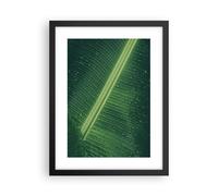 Poster 30x40cm Macro Foglia Gocce Stampe Immagini Quadri Moderni Murale