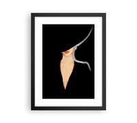 Poster 30x40cm Nero Donna Cappello Stampe Immagini Quadri Moderni Murale