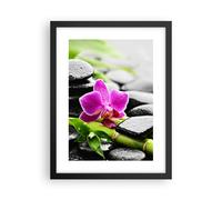 Poster 30x40cm Pianta pietre bambù spa Stampe Immagini Quadri Moderni Murale