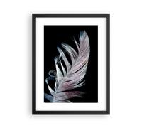 Poster 30x40cm Piuma I Colori Delicatezza Stampe Immagini Quadri Moderni Murale
