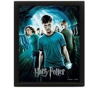 POSTER 3D LENT HARRY POTTER FENICE - GADGET