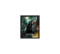 POSTER 3D LENT HARRY POTTER SNAPE - GADGET
