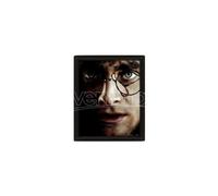 POSTER 3D LENT HARRY POTTER VOLDEMORT - GADGET