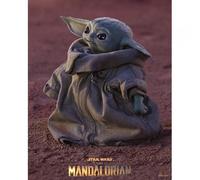 Pyramid International Star Wars: The Mandalorian Framed 3d Effect Poster Pack Grogu 26x20 Cm 3 Units Verde