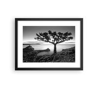 Poster 40x30cm Albero Bianco E Nero Vista Stampe Immagini Quadri Moderni Murale
