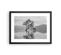 Poster 40x30cm Albero Simmetria Lago Stampe Immagini Quadri Moderni Murale