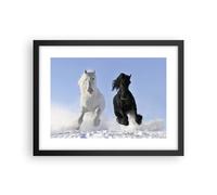 Poster 40x30cm Animali bellezza concorrenza Stampe Immagini Quadri Moderni