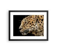 Poster 40x30cm Animali leopardo gatto selvatico animali selvatici Stampe Quadri