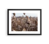Poster 40x30cm Boho Spighe Di Grano Erba Stampe Immagini Quadri Moderni Murale