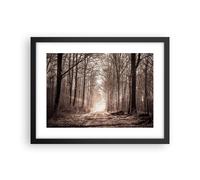 Poster 40x30cm foresta strada albero Stampe Immagini Quadri Moderni Murale