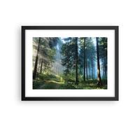 Poster 40x30cm La foresta l'alba il sole Stampe Immagini Quadri Moderni Murale