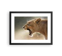 Poster 40x30cm Leone Leonessa Zanne Stampe Immagini Quadri Moderni Murale