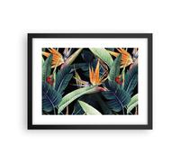 Poster 40x30cm Pianta tropicale fiore Stampe Immagini Quadri Moderni Murale