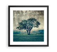 Poster 40x40cm albero natura campo Stampe Immagini Quadri Moderni Murale