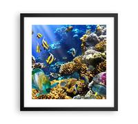 Poster 40x40cm Barriera corallina oceano granchio pesce Stampe Quadri Moderni