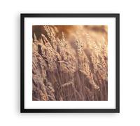 Poster 40x40cm Boho Spighe Di Grano Campo Stampe Immagini Quadri Moderni Murale