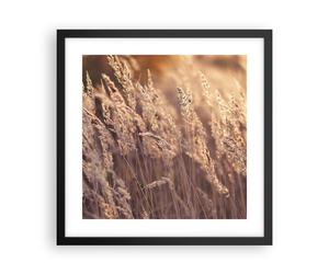 Poster 40x40cm Boho Spighe Di Grano Campo Stampe Immagini Quadri Moderni Murale