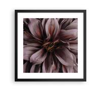 Poster 40x40cm Bouquet Artistico Fiore Stampe Immagini Quadri Moderni Murale