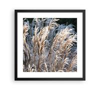 Poster 40x40cm Canna Spighe Di Grano Boho Stampe Immagini Quadri Moderni Murale