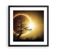 Poster 40x40cm Eclipse il sole l'albero Stampe Immagini Quadri Moderni Murale