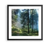 Poster 40x40cm La foresta l'alba il sole Stampe Immagini Quadri Moderni Murale