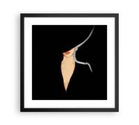 Poster 40x40cm Nero Donna Cappello Stampe Immagini Quadri Moderni Murale