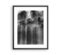Poster 40x50cm Alberi Dentro Nebbia Stampe Immagini Quadri Moderni Murale