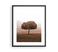 Poster 40x50cm Albero Autunno Natura Stampe Immagini Quadri Moderni Murale