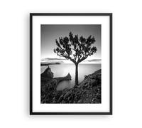 Poster 40x50cm Albero Bianco E Nero Vista Stampe Immagini Quadri Moderni Murale