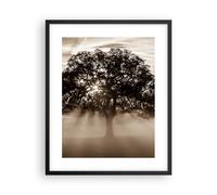 Poster 40x50cm albero campo natura Stampe Immagini Quadri Moderni Murale