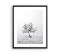Poster 40x50cm albero campo natura Stampe Immagini Quadri Moderni Murale