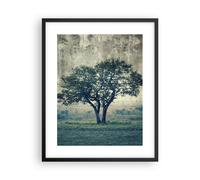 Poster 40x50cm albero natura campo Stampe Immagini Quadri Moderni Murale
