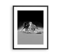 Poster 40x50cm Andaluso Cavalli Galoppo Stampe Immagini Quadri Moderni Murale