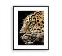 Poster 40x50cm Animali leopardo gatto selvatico animali selvatici Stampe Quadri