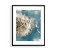 Poster 40x50cm babe estate pianta Stampe Immagini Quadri Moderni Murale