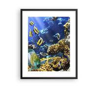 Poster 40x50cm Barriera corallina oceano granchio pesce Stampe Quadri Murale