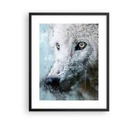 Poster 40x50cm Bianco il lupo foto Stampe Immagini Quadri Moderni Murale