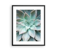 Poster 40x50cm Blu Foglie Agave Stampe Immagini Quadri Moderni Murale